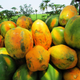 Illustration for article titled Things You Need to Know about Papaya